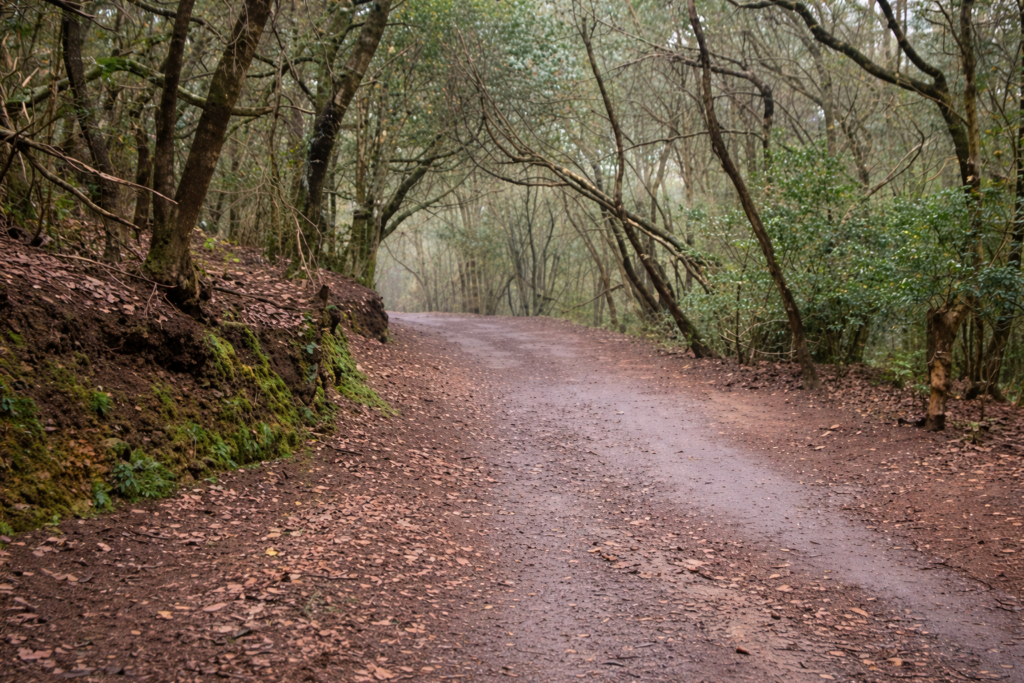 0D2452DD-6F71-4D32-B38B-50C5CE4ABEED