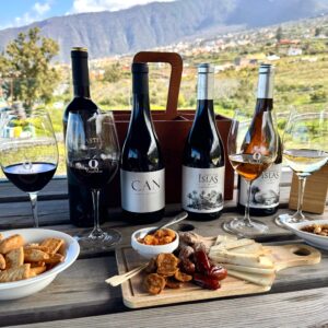 Cata de 4 vinos PREMIUM + Tabla de quesos con frutos secos, almogrote y picos para 2 personas