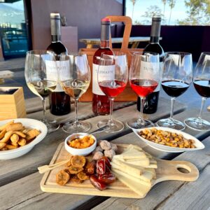 Cata de 3 vinos + Tabla de quesos con frutos secos, almogrote y picos para 2 personas