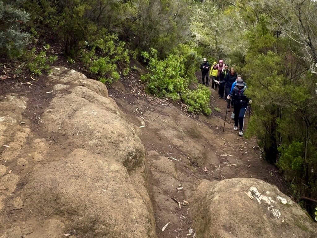 99b35d9d-9258-405e-a1e9-d5ecd94db3c5