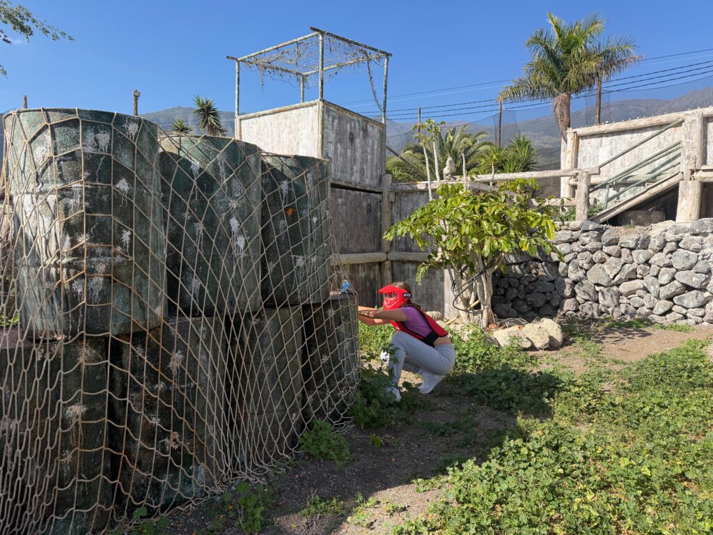 a47049b5-57eb-472d-8832-e3e66a432dc8