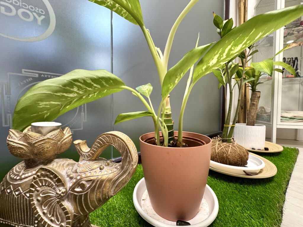 ab952ddf-1793-4622-92c8-a27a5369c83a