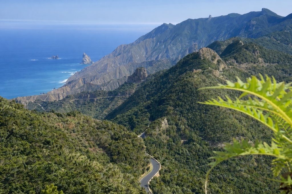 63067529-5BE5-4352-80C1-6693953A3BC6